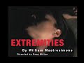 Extremities at Silver Meteor Gallery