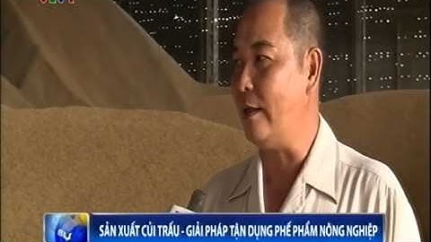 Đồng bằng sông Cửu Long sản xuất củi trấu   Giải pháp tận dụng phế phẩm Nông nghiệp