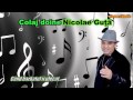 COLAJ DOINE NICOLAE GUTA, 2013, ZOOM STUDIO