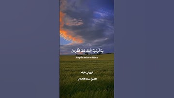 قران كريم ارح قلبك وسمعك #قران #quran #المصحف #سعد_الغامدي #راحة_نفسية @قران_في_دقيقه