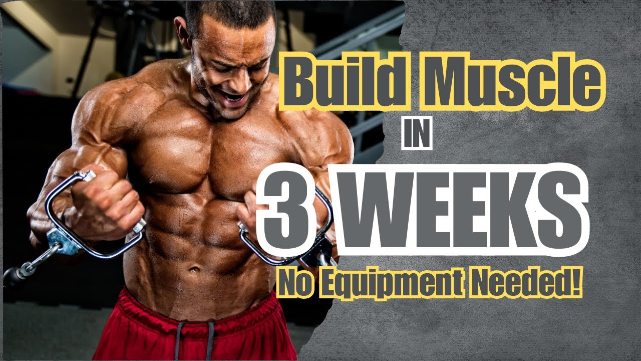 6 Exercises Without Equipment To Build Muscle In 3 Weeks 💪🔥 - YouTube