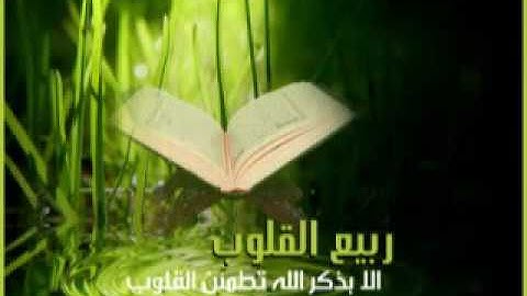 تلاوات خاشعه حمزة المجالي