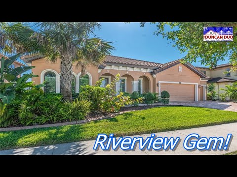 13216 FAWN LILY DRIVE, Riverview, FL home video tour