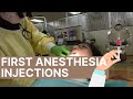 STAB LAB DAY 1 (Anesthesia; Dental School Vlog)