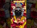 #तुझे कब से पुकारे तेरा लाल# आजा मां शेरावाली#माता रानी सॉन्ग