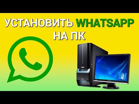 Как установить и использовать WhatsApp на компьютере? 3 способа пользоваться Ватсап на компьютере