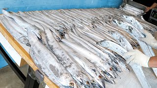 ขายปลาหางยาวได้วันละ 1,000 ตัว! ชุดปลาเผายักษ์แสนอร่อย /อาหารข้างทางเกาหลี
