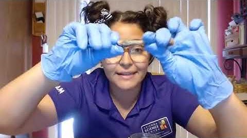 Demonstration: Rubber Bones