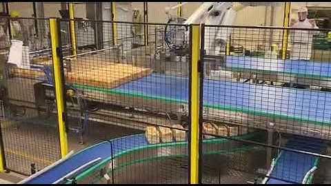 6-Axis Robot Picking Bread