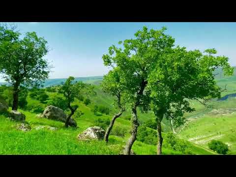 اتردد للمكان اللي انت فيه ❤❤🌹