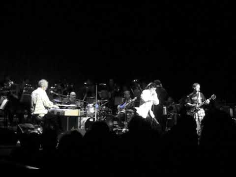 Miljenko Matijevic of SteelHeart | "Strange Days" Live with The Doors | Grand Canal Theatre Dublin