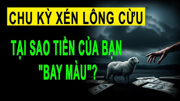 Xem ngay nếu không muốn bị bóc lột cả đời: Chu kỳ xén lông cừu sẽ thay đổi cách bạn nhìn về tiền