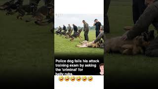 #doggy doggy love #dogs #cats#viralvideo#punch