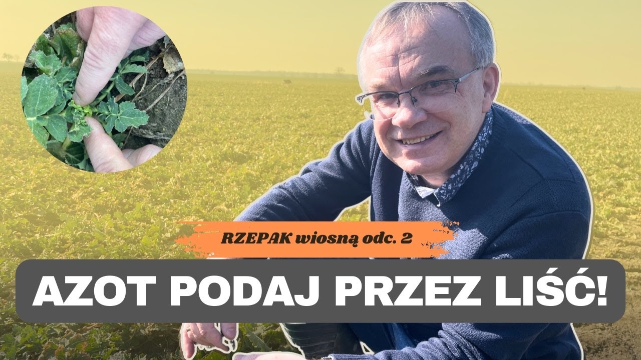 📢Ocena po N2. Azot i mikroelementy podaj przez liść! Porady Profesora Szczepaniaka | e-pole