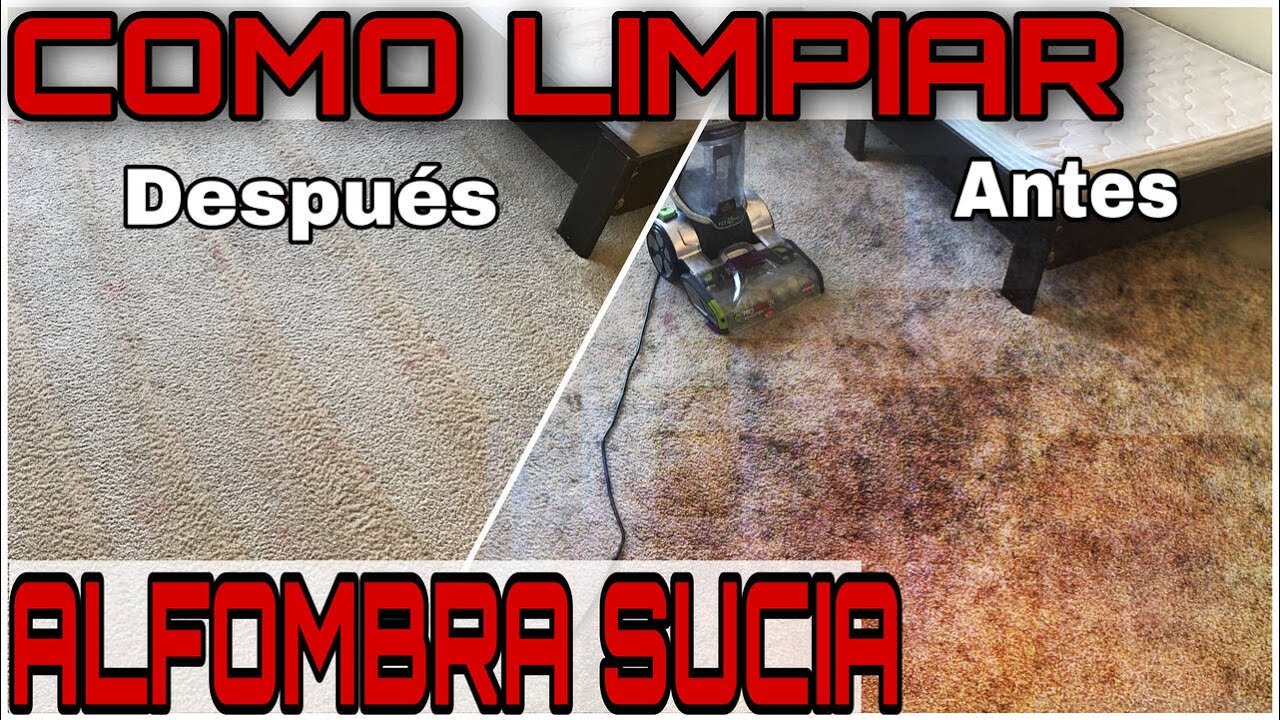 Como Limpiar una Alfombra muy Sucia | Bissell ProHeat 2X Revolution Max Clean Pet Pro resena