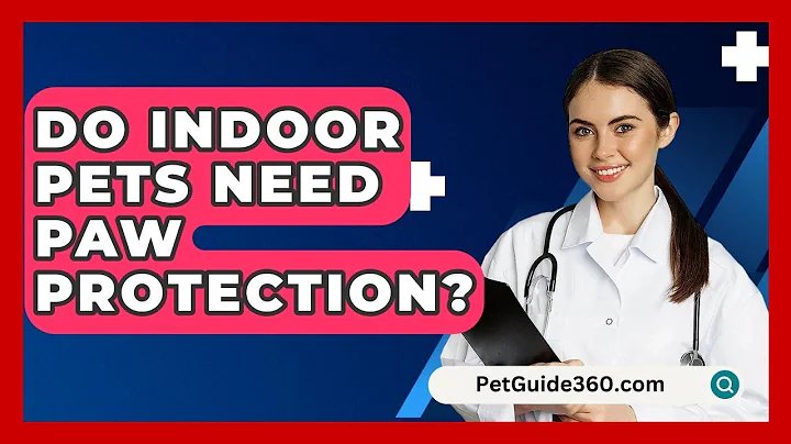 Do Indoor Pets Need Paw Protection? - PetGuide360.com