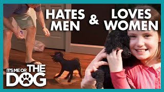 Aggressive Toy Poodle Hates Men | It’s Me or The Dog