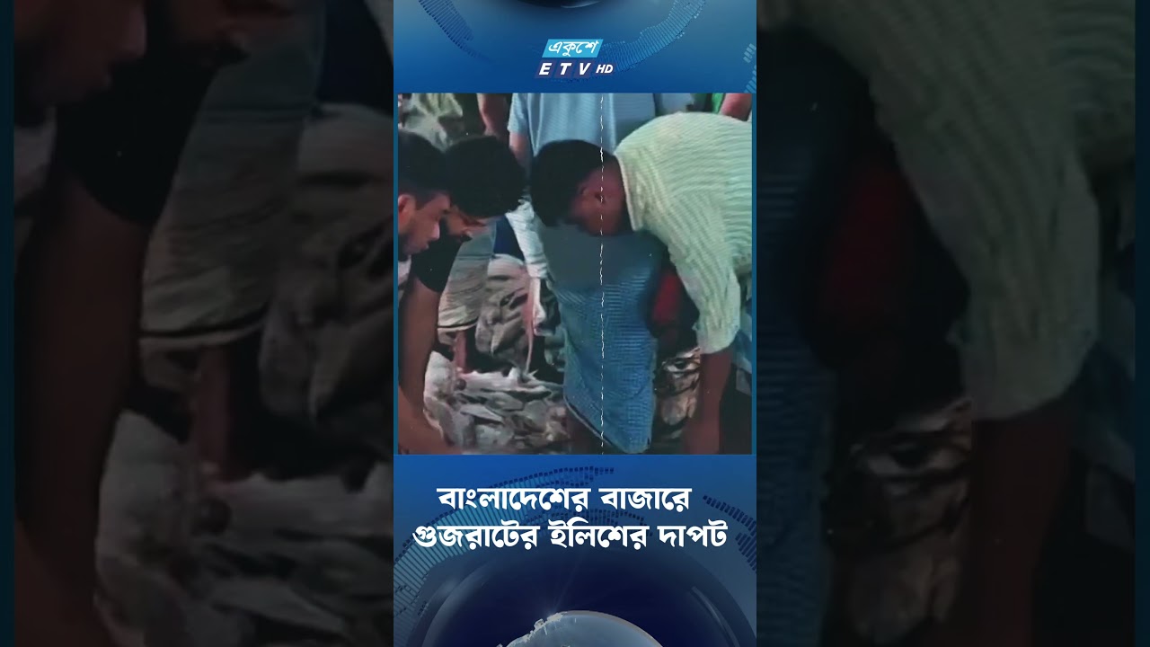 বাংলাদেশের বাজারে গুজরাটের ইলিশের দাপট  | ETV