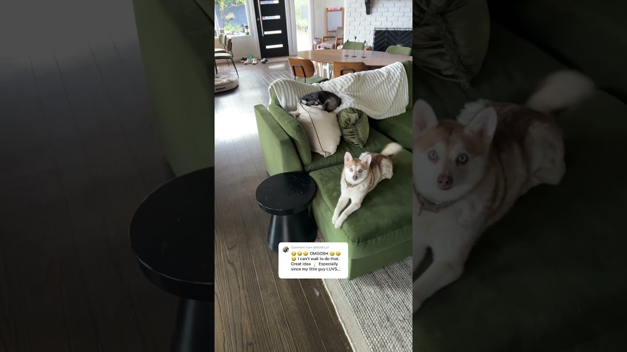 Почему мы заморозили любимые игрушки Клее Кая