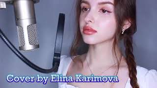 Into The Unknown Cover By Elina Karimova