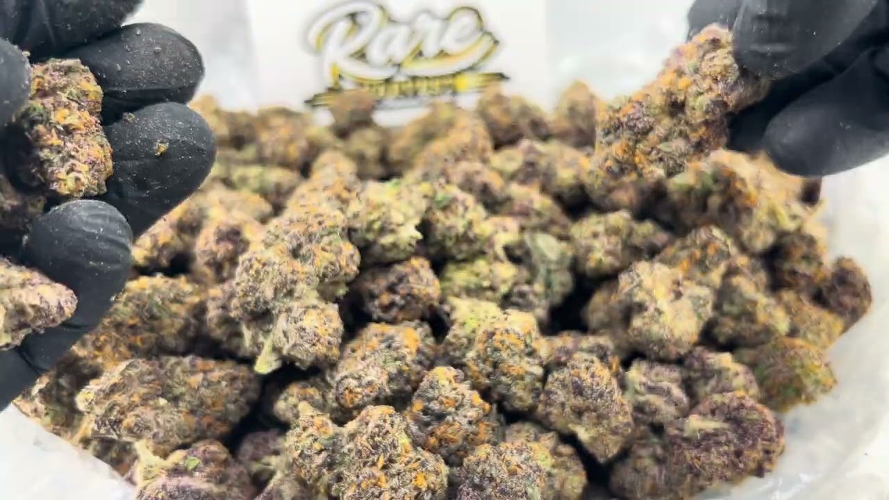 Jealousy - New Ultra Rare Indoor THCA Flower Available at Rare Harvest