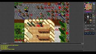 Old Tibia - Orc Raid: Massacre on Thais (Pandoria 2006 7.81)