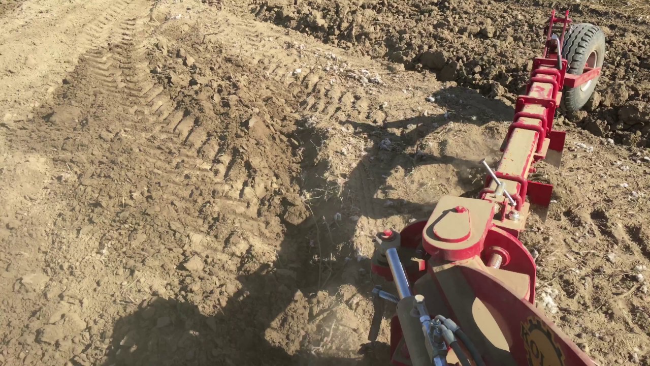 katta kokrak xususiy