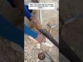 INSANE Hand Saw Trick That Cuts Wood Like Butter 😱🪚 #woodworking #tools #diyshorts