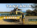 Tanznia  o que fazer em arusha  monte kilimanjaro e safari