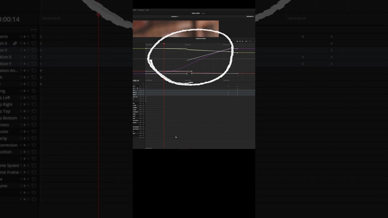 How to Zoom into your Keyframe Windows - DaVinci Resolve