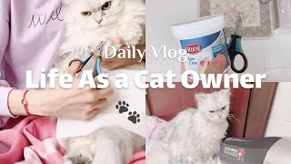 Cat Owner Life | يوم في حياتي كمربية قطط • الجانب المتعب • حلقت شعر قطتي