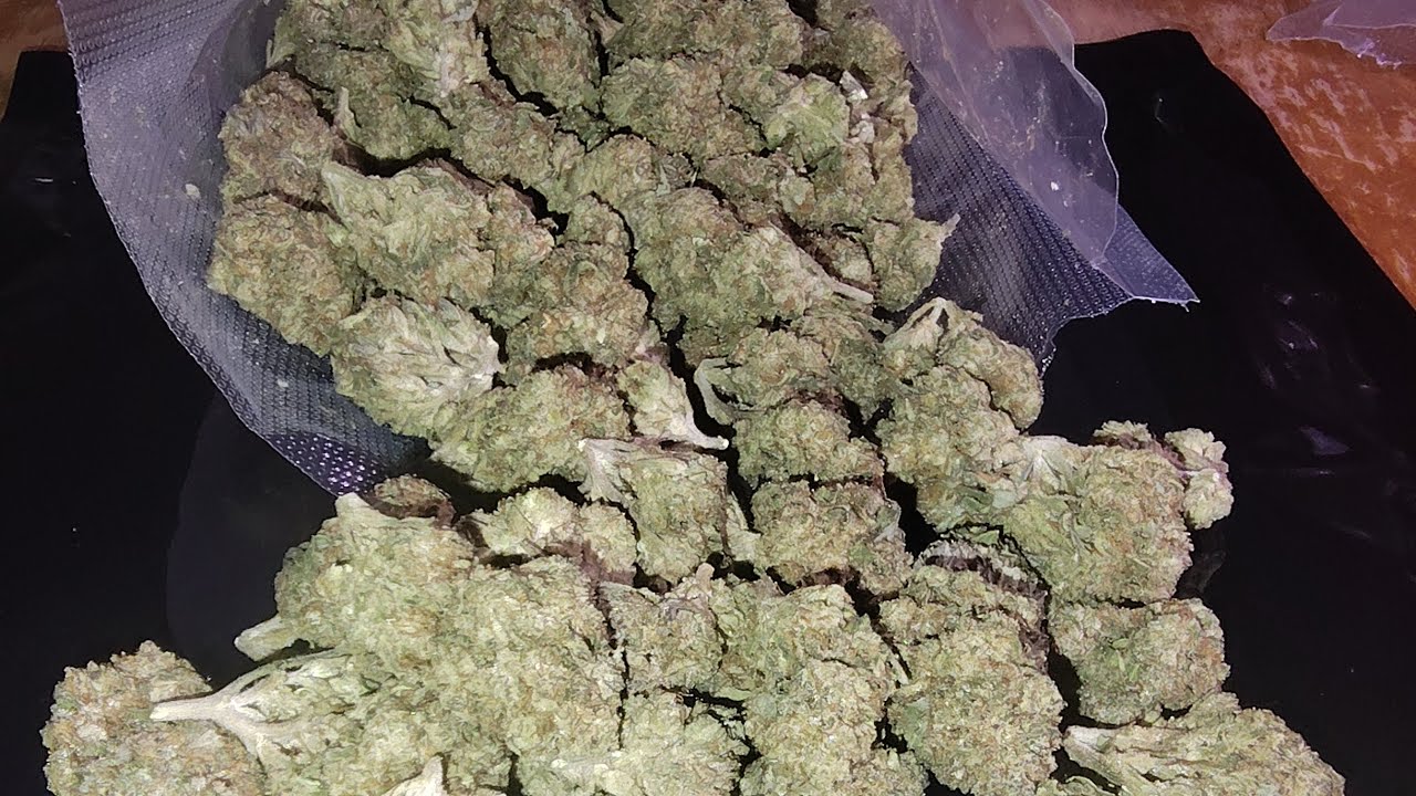 JK Distro has Qp's on sale for $179? Is it worth it?