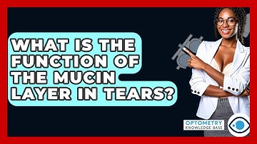 What Is The Function Of The Mucin Layer In Tears? - Optometry Knowledge Base