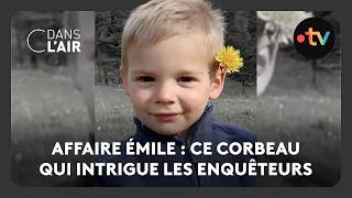 Affaire Émile Ce Corbeau Qui Intrigue Les Enquêteurs - C Dans Lair - 29.08.2026