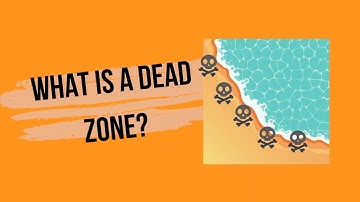 what is a dead zone in ocean?