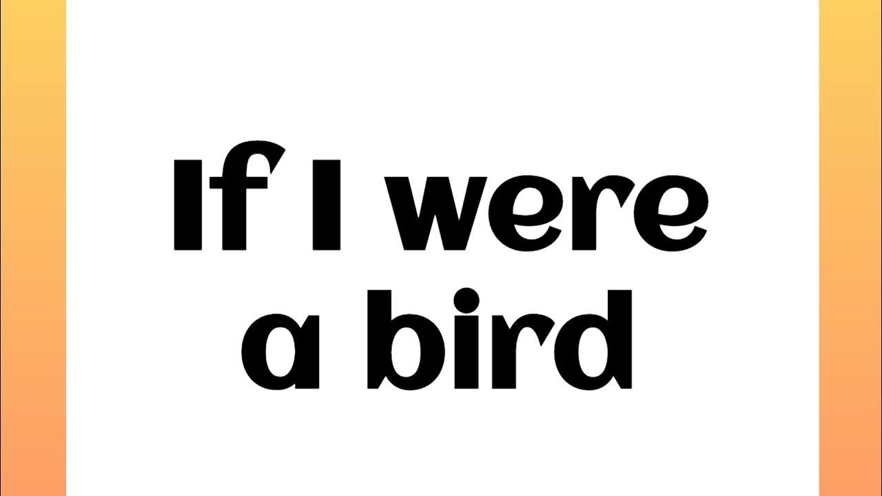 paragraph if i were a bird