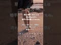 九星de名言シリーズ〜一白水星2 #2025年 #占い #今日から開運