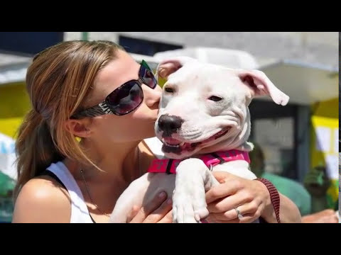 John Shipe - Pit Bull Rescue Woman