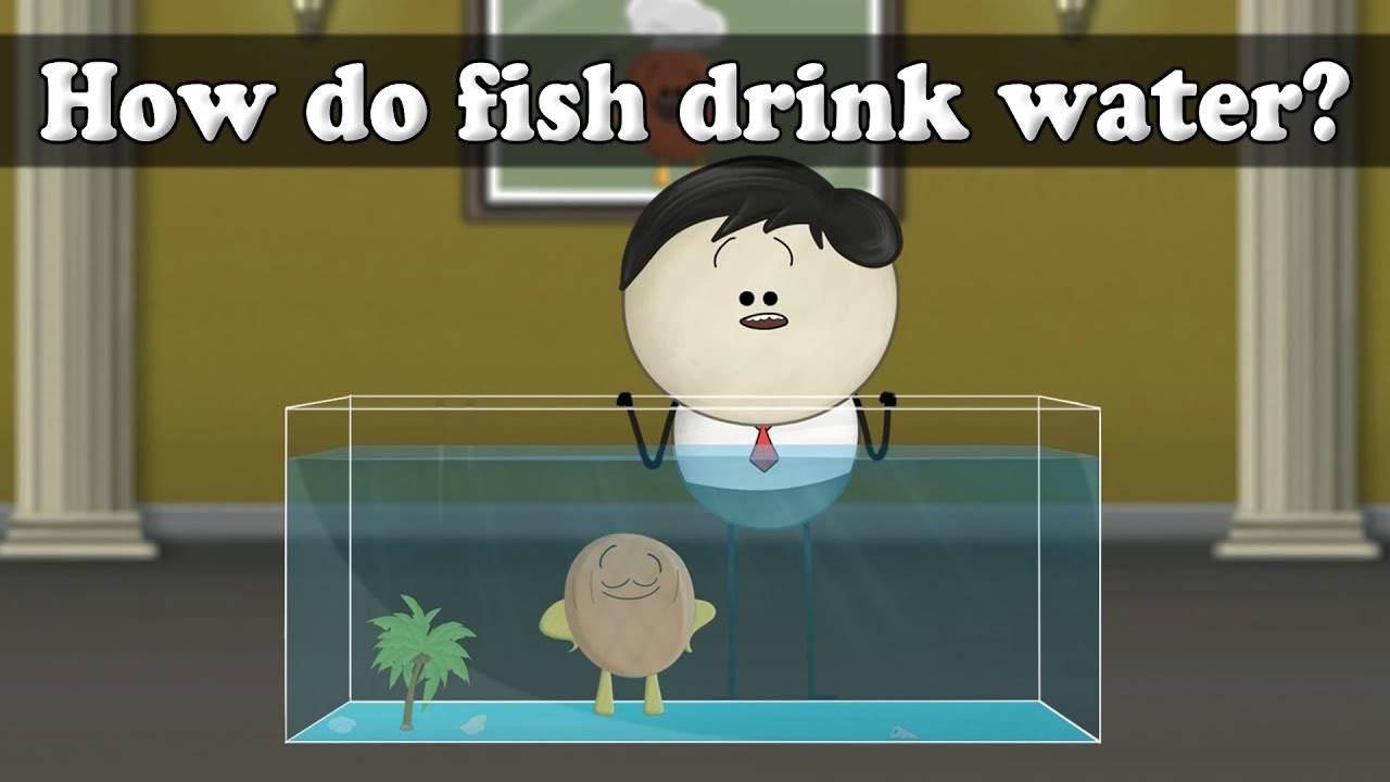 Osmosis - How Do Fish Drink Water? | #Aumsum #Kids #Science #Education #Children