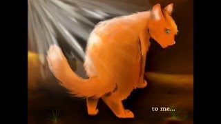 SpottedxFire PMV - Warriors Final Tribute