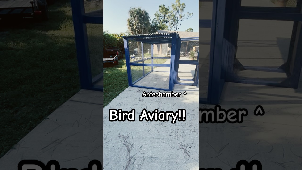 Perfect Bird Aviary with antechamber. Stainless steel wire. Bird cage kit 