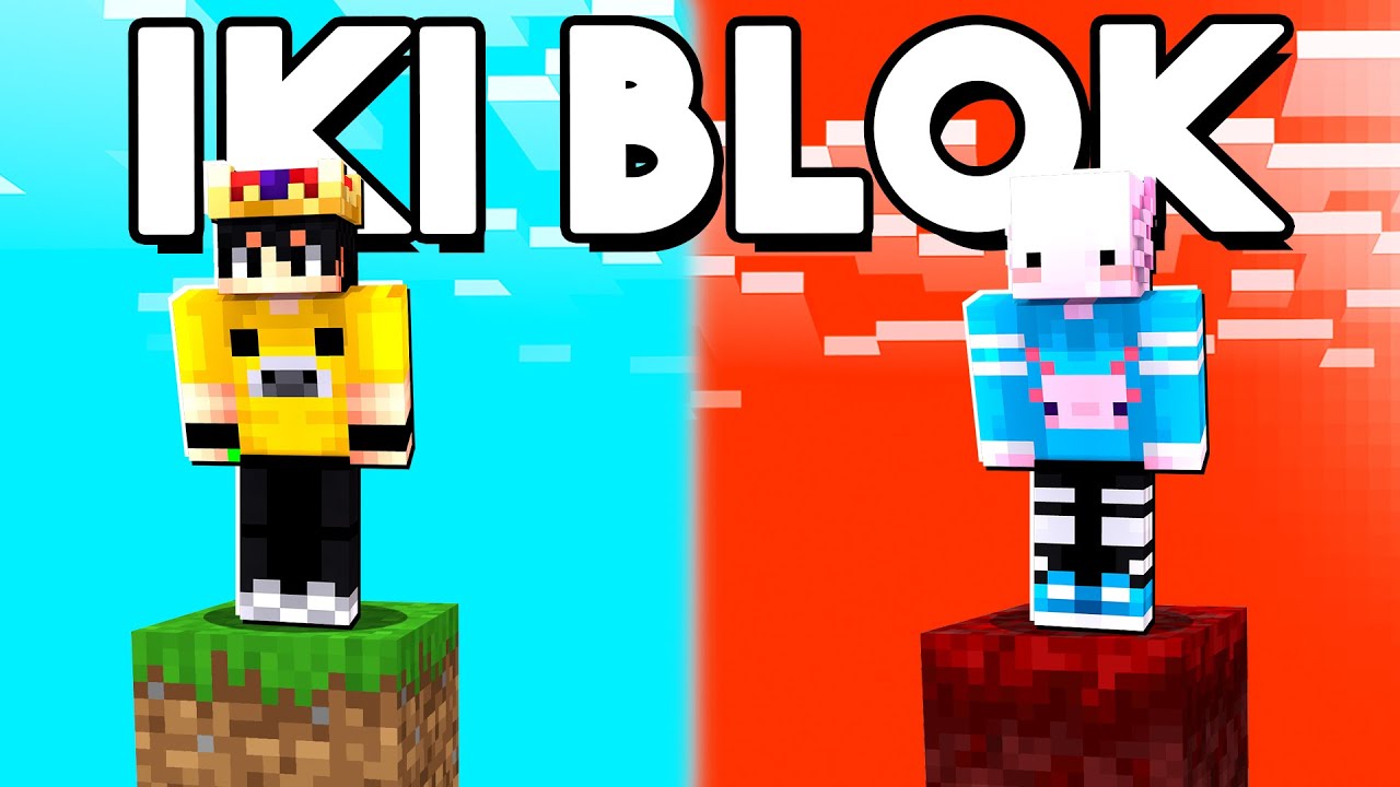 Minecraft İKİ BLOK!