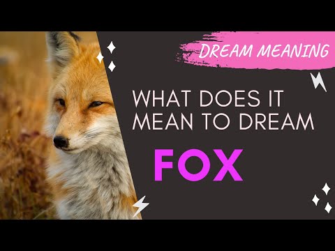 MEANING OF DREAM FOX : Interpretation & Symbolism