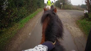 CHRISTMAS CANTER HACK ON RICKY ! ❤️🔥