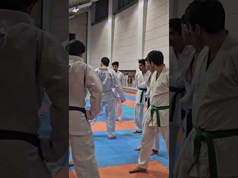 بهترین رشته رزمی شوتوکان کاراته کاراته رزمی شوتوکان انگیزشی 