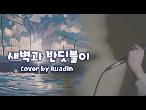 【루아딘】 새벽과 반딧불이 (夜明けと蛍) 어쿠스틱 | 한국어 커버 Korean cover