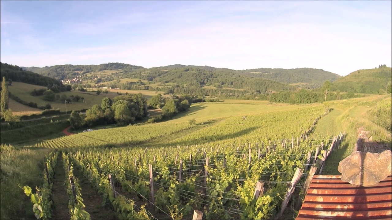 08/06 /17 Domaine Pignier