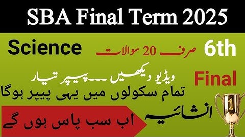 Class 6 Computer SBA Final Term || Original Paper solved || Guess Paper of all versions|| PEC Exams