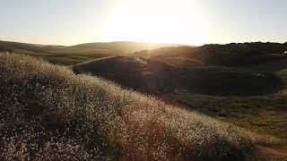 Johanna beach campground