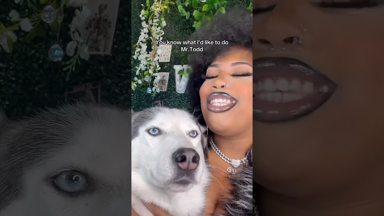 在 YouTube 上观看 By the sea from Sweeney Todd 💓My pup is so done with me lol #singer #cover #mrtodd 在 YouTube 上观看 By the sea from Sweeney Todd 💓My pup is so done with me lol #singer #cover #mrtodd